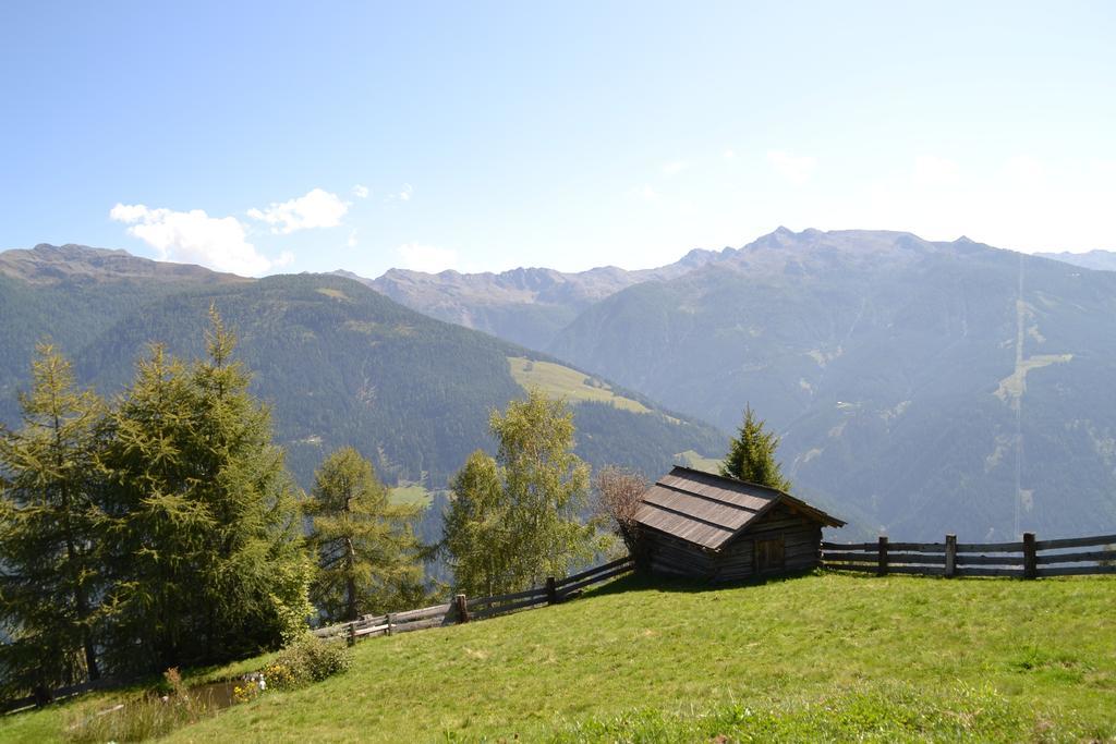 Pension Pichlerhof Stall Dış mekan fotoğraf